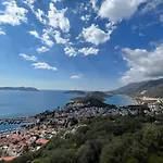 Salina *