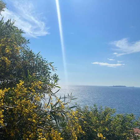 Salina Gazde/Camere de închiriat *